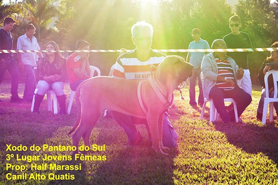 96expo itanhandu xodo01