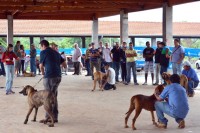 97ª Exposição Nacional