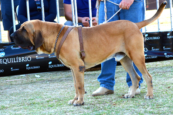 radar do itanhandu