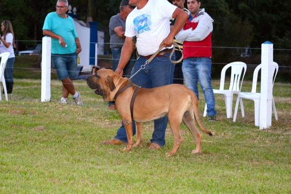 patrão do itanhandu
