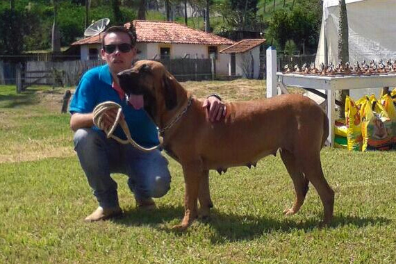 ztora do passo do trem