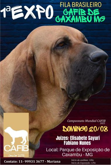 expo formiga