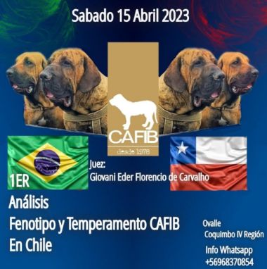 expo guará