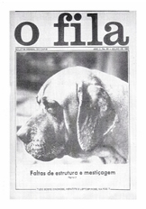 o fila número 20