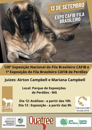 expo perdões