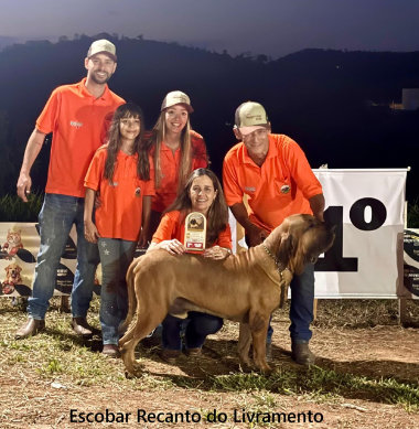 expo perdões