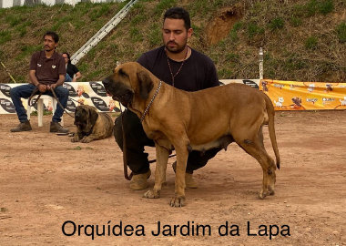 expo perdões