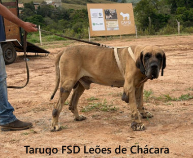 expo perdões