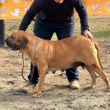 expo governador valadares